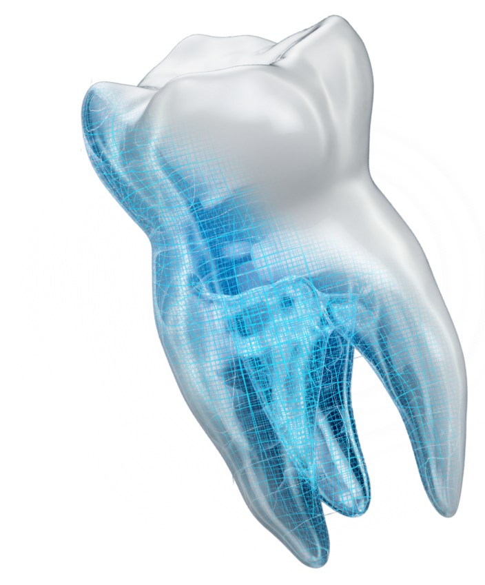 Dental Service